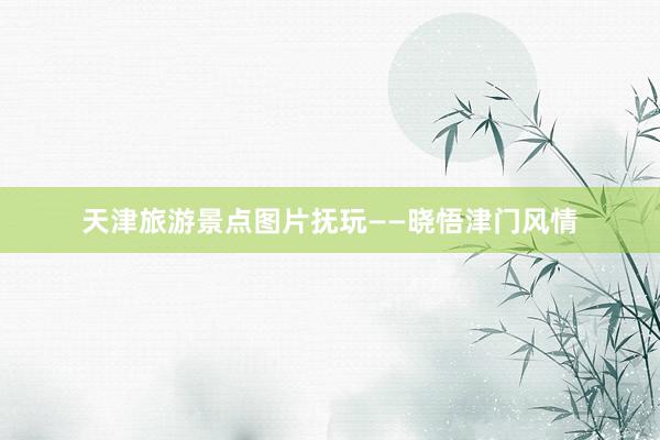 天津旅游景点图片抚玩——晓悟津门风情
